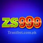 ZS999 Game