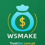 Wsmake APP